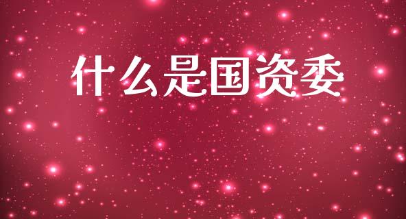 什么是国资委_https://wap.hpmsj.cn_外汇汇率_第1张
