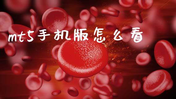 mt5手机版怎么看_https://wap.hpmsj.cn_财经时评_第1张