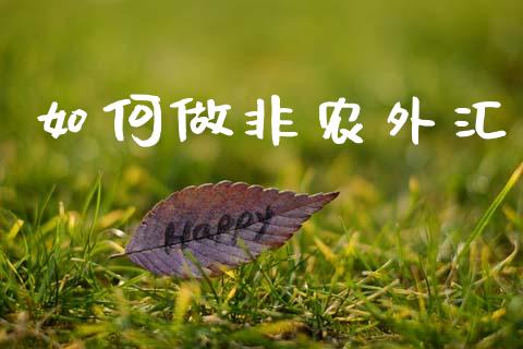 如何做非农外汇_https://wap.hpmsj.cn_金融机构_第1张