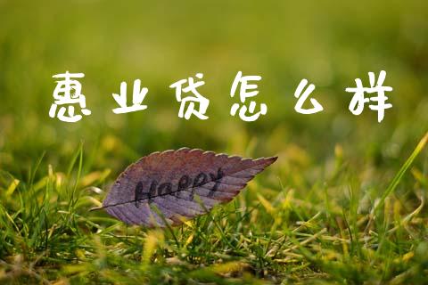 惠业贷怎么样_https://wap.hpmsj.cn_期货交易_第1张