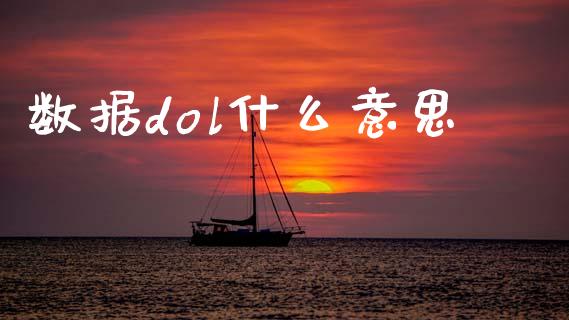 数据dol什么意思_https://wap.hpmsj.cn_财经时评_第1张