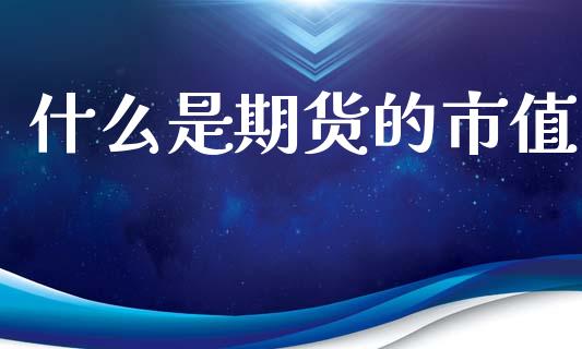 什么是期货的市值_https://wap.hpmsj.cn_金融机构_第1张