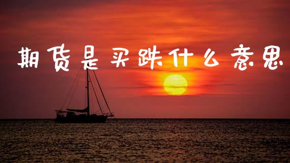 期货是买跌什么意思_https://wap.hpmsj.cn_债券投资_第1张