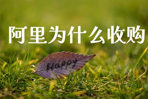 阿里为什么收购_https://wap.hpmsj.cn_财经时评_第1张