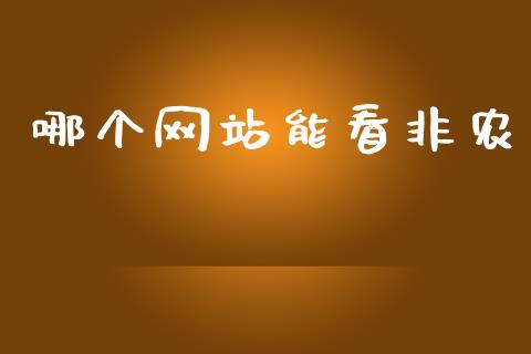 哪个网站能看非农_https://wap.hpmsj.cn_财经时评_第1张
