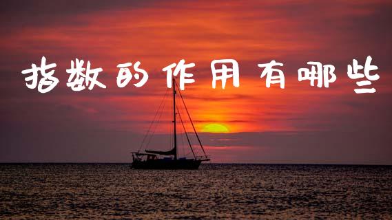 指数的作用有哪些_https://wap.hpmsj.cn_债券投资_第1张