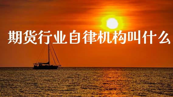 期货行业自律机构叫什么_https://wap.hpmsj.cn_金融机构_第1张