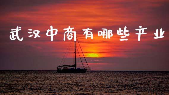 武汉中商有哪些产业_https://wap.hpmsj.cn_金融机构_第1张