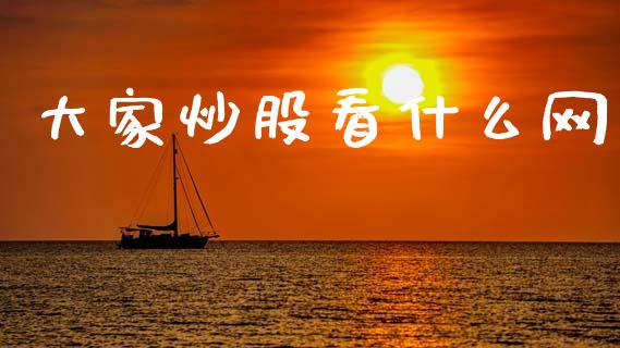 大家炒股看什么网_https://wap.hpmsj.cn_基金分析_第1张