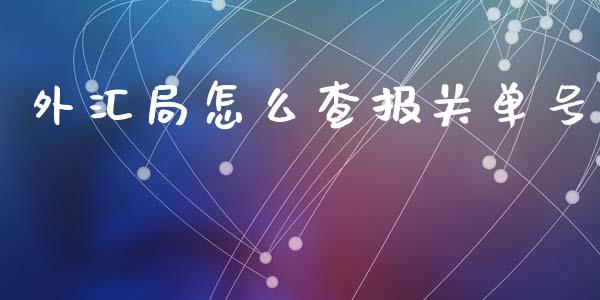 外汇局怎么查报关单号_https://wap.hpmsj.cn_债券投资_第1张