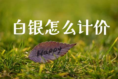白银怎么计价_https://wap.hpmsj.cn_基金分析_第1张