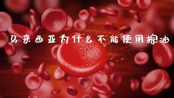 马来西亚为什么不能使用棕油_https://wap.hpmsj.cn_财经时评_第1张