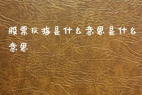 股票反指是什么意思是什么意思_https://wap.hpmsj.cn_债券投资_第1张