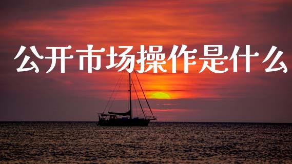 公开市场操作是什么_https://wap.hpmsj.cn_期货交易_第1张
