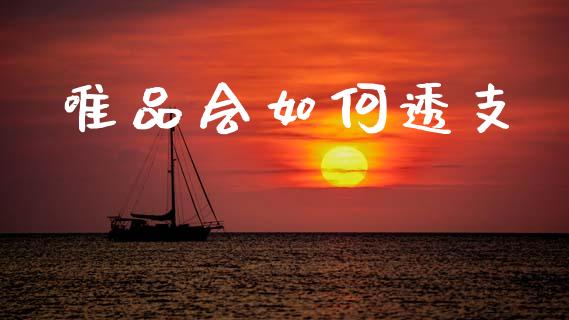 唯品会如何透支_https://wap.hpmsj.cn_外汇汇率_第1张