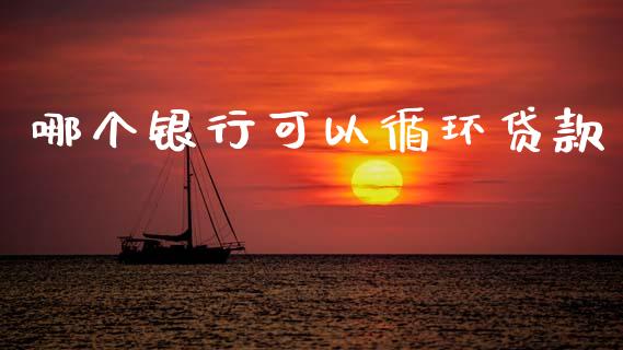 哪个银行可以循环贷款_https://wap.hpmsj.cn_财经时评_第1张