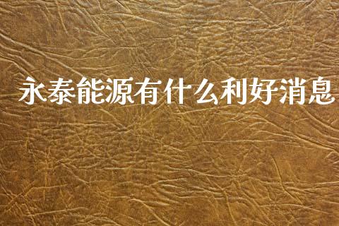 永泰能源有什么利好消息_https://wap.hpmsj.cn_外汇汇率_第1张