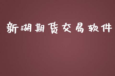 新湖期货交易软件_https://wap.hpmsj.cn_外汇汇率_第1张