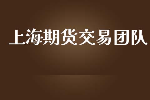上海期货交易团队_https://wap.hpmsj.cn_财经时评_第1张