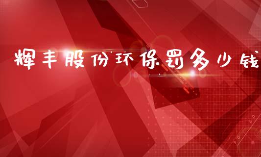 辉丰股份环保罚多少钱_https://wap.hpmsj.cn_基金分析_第1张