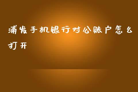 浦发手机银行对公账户怎么打开_https://wap.hpmsj.cn_外汇汇率_第1张