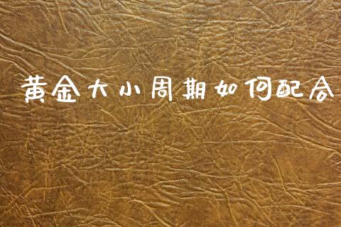 黄金大小周期如何配合_https://wap.hpmsj.cn_基金分析_第1张