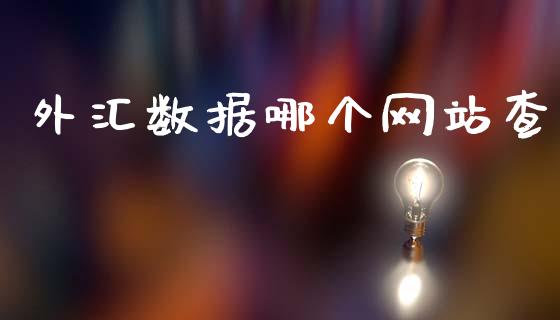 外汇数据哪个网站查_https://wap.hpmsj.cn_财经时评_第1张