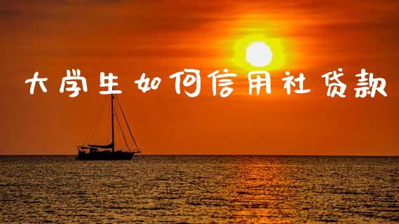 大学生如何信用社贷款_https://wap.hpmsj.cn_财经时评_第1张