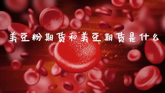 美豆粉期货和美豆期货是什么_https://wap.hpmsj.cn_期货交易_第1张