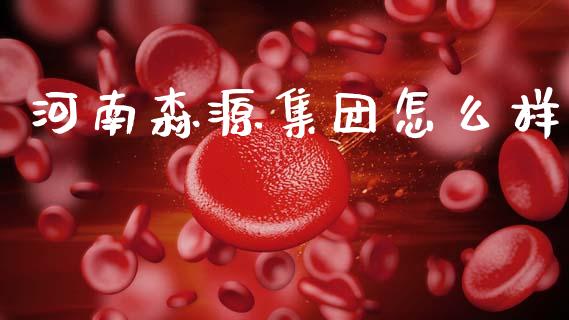 河南森源集团怎么样_https://wap.hpmsj.cn_金融机构_第1张