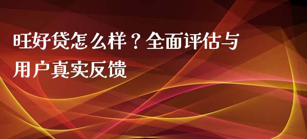 旺好贷怎么样？全面评估与用户真实反馈_https://wap.hpmsj.cn_金融机构_第1张