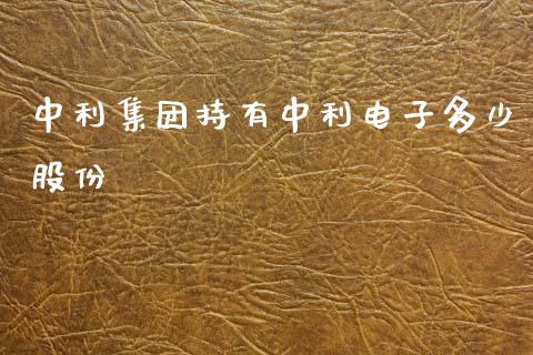 中利集团持有中利电子多少股份_https://wap.hpmsj.cn_债券投资_第1张