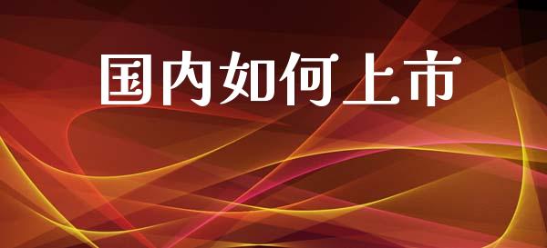 国内如何上市_https://wap.hpmsj.cn_期货交易_第1张