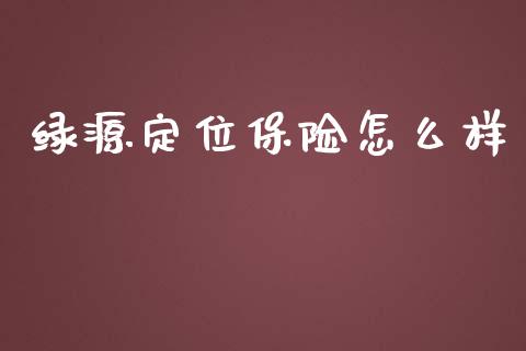 绿源定位保险怎么样_https://wap.hpmsj.cn_金融机构_第1张