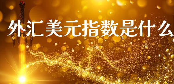 外汇美元指数是什么_https://wap.hpmsj.cn_期货交易_第1张