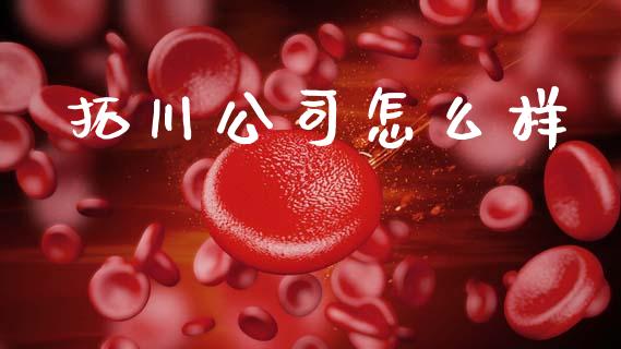 拓川公司怎么样_https://wap.hpmsj.cn_外汇汇率_第1张