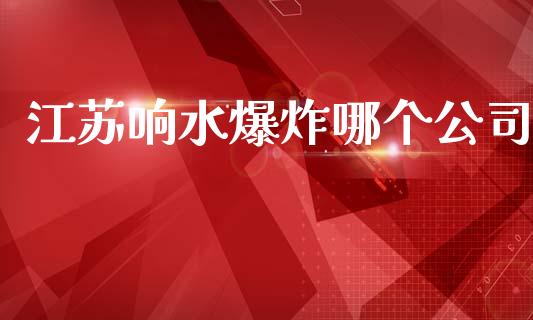 江苏响水爆炸哪个公司_https://wap.hpmsj.cn_外汇汇率_第1张