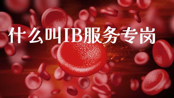 什么叫IB服务专岗_外汇汇率_第1张_财经时评_基金分析_期货交易_金融机构_外汇汇率_债券投资 什么叫IB服务专岗_https://wap.hpmsj.cn_外汇汇率_第1张