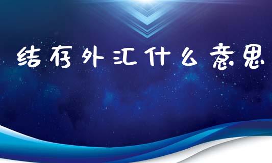 结存外汇什么意思_https://wap.hpmsj.cn_金融机构_第1张