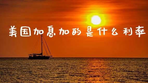 美国加息加的是什么利率_https://wap.hpmsj.cn_债券投资_第1张