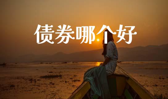 债券哪个好_https://wap.hpmsj.cn_金融机构_第1张