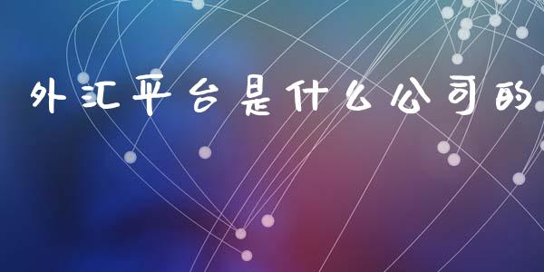 外汇平台是什么公司的_https://wap.hpmsj.cn_金融机构_第1张
