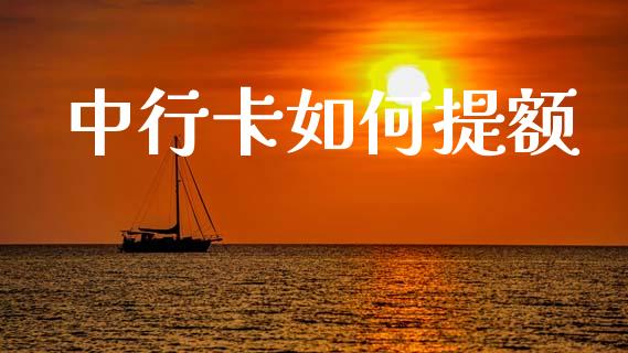 中行卡如何提额_https://wap.hpmsj.cn_金融机构_第1张