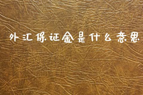 外汇保证金是什么意思_https://wap.hpmsj.cn_基金分析_第1张