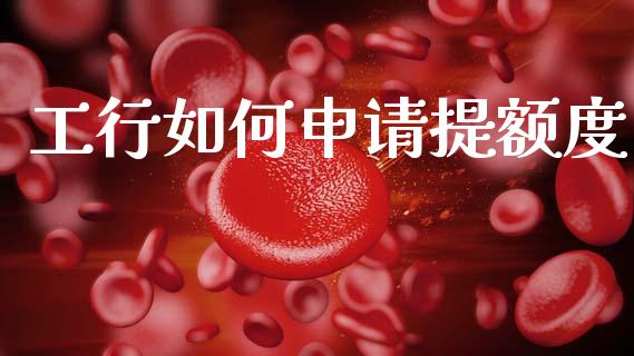 工行如何申请提额度_https://wap.hpmsj.cn_期货交易_第1张