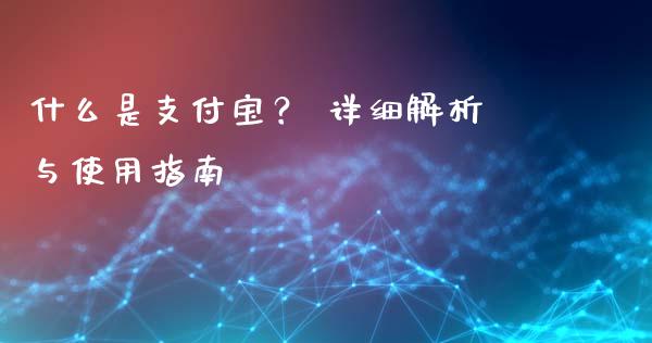 什么是支付宝？ 详细解析与使用指南_https://wap.hpmsj.cn_债券投资_第1张