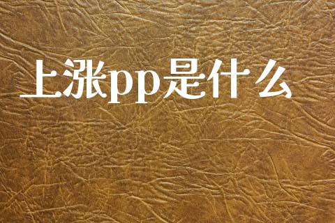 上涨pp是什么_https://wap.hpmsj.cn_期货交易_第1张