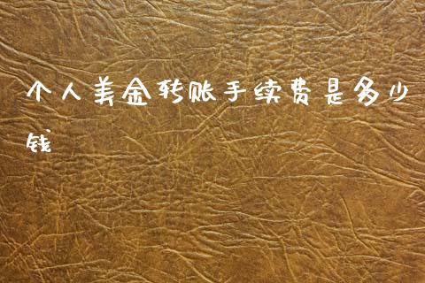 个人美金转账手续费是多少钱_https://wap.hpmsj.cn_基金分析_第1张