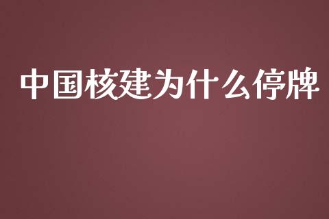 中国核建为什么停牌_金融机构_第1张_财经时评_基金分析_期货交易_金融机构_外汇汇率_债券投资 中国核建为什么停牌_https://wap.hpmsj.cn_金融机构_第1张