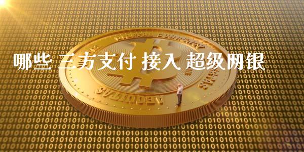 哪些 三方支付 接入 超级网银_https://wap.hpmsj.cn_金融机构_第1张